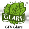 GFV GLARE CO.