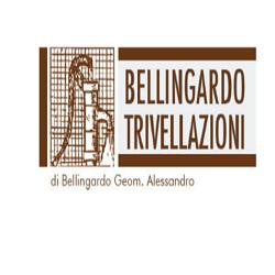 BELLINGARDO TRIVELLAZIONI DI BELLINGARDO ALESSANDRO