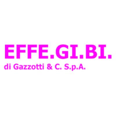 EFFE.GI.BI. DI GAZZOTTI & C. SPA