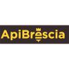 API BRESCIA SOCIETA' COOPERATIVA