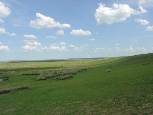 The Steppe in MOngolia